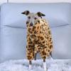 Leopard Pattern Fleece Coat, Cozy Winter Dog Jacket, Trendy Pet Fashion Wear,Thick Fleece Warm Jacket for Small Medium Breeds