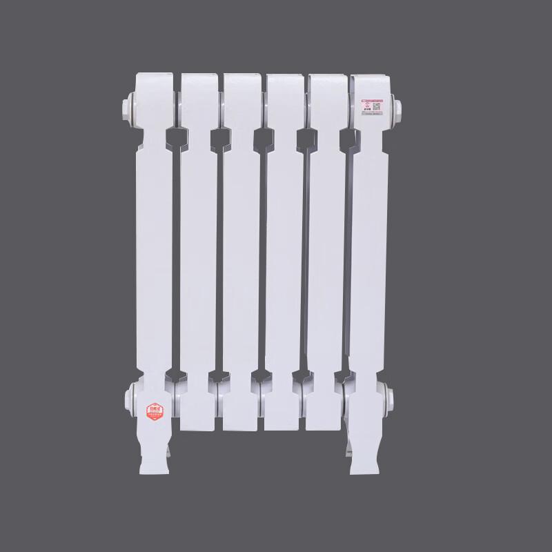 

Lixing TZY2-6-8/61B Cast Iron Column Radiator (H60cm)