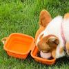 Hanging Foldable Dog Dish Portable Pet Food Water Feeding Tray  Cat and Dog Use