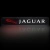Luz Decorativa LED de Emblema de Grade Frontal para Capô de Carro Para Jaguar XF XE XJ XJ8 X351 F Pace X Type F Type Colar Tesoura Roupas Chaveiro