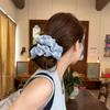 Wow! Korean Floral Embroidered Large Intestine Hair Tie for Women - 2025 New Style Elastic Ponytail Accessory