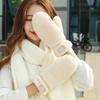 Gloves For Women With Winter Plus Velvet Thickened Warm Windproof New Anti-Freeze And Cold-Proof Plush Cute Gloves