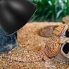 Heating Lamp Cover Insulated Iron Reflector Dome Box Accessory Pet Cage Terrarium Heat Lamp Shade Reptile Lampshade Replacement
