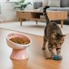 Large Capacity Ceramic Cat Bowl High Footed Cat Oblique Mouth Bowl  Feeding Drinking