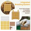 251Pcs Reliable Queen Cell Protective Cover Convenient Full Bee Breeding Set  Beekeeping