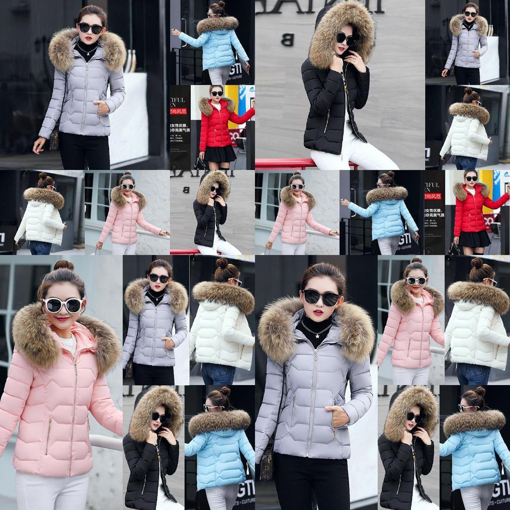 Womens Short Slim Quilted Winter Coat With Fur Hooded Collar And Stylish Design