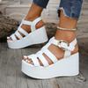 Summer 2025 Women Ankle Buckle Wedge Sandals Trend Platform Breathable Shoes Women Retro Comfortable Non-slip Soft Sole Sandals