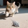 Automatic Lifting Teaser Ball Toys For Cats Without Its Own Battery Teaser Toys For Automatic Companion Cats
