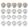 Pack of 20 Large White Scalloped Shells for Crafts Painting Baking Ocean Themed Party Decoration And Home Accent 6-8cm
