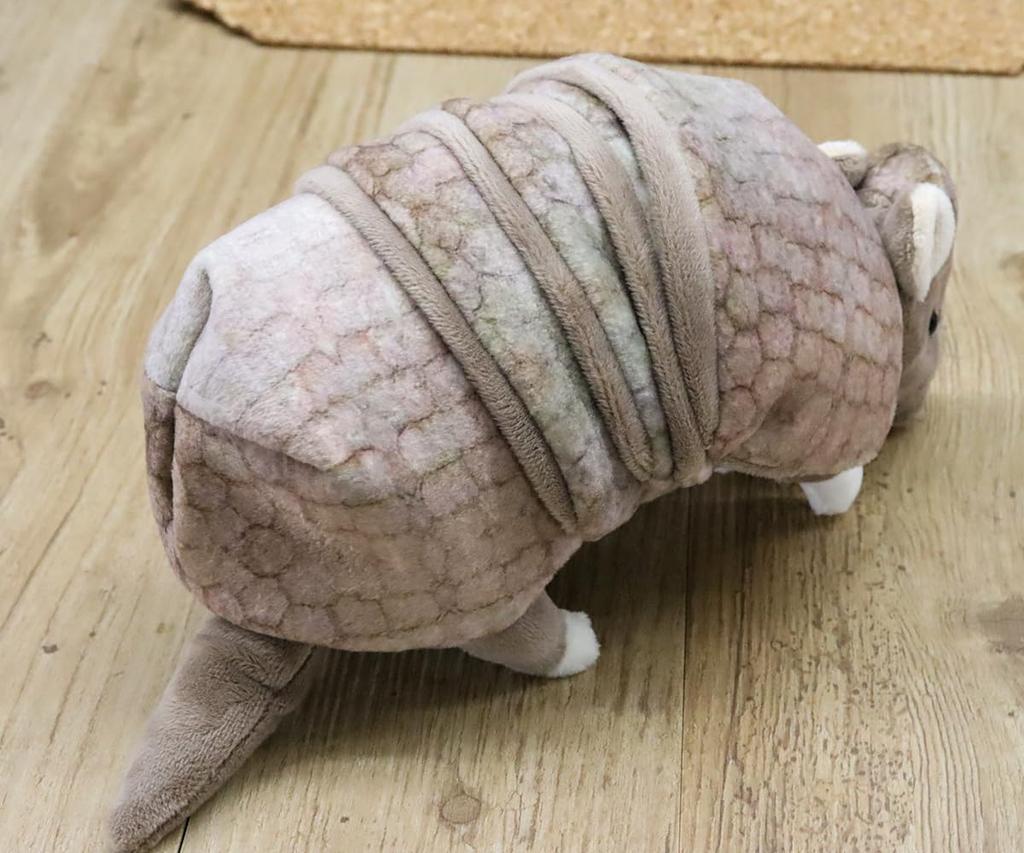Takeoff Three-banded Armadillo