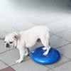 Cuscino Massaggio per Animali Piatto di Equilibrio Imbottito Cane Palla Yoga Creativa Allenamento Riabilitazione Prodotti per Animali Domestici Giocattoli Accessori