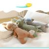 Pet Toys Dogs and Cats Bone Resistant Tear Resistant Bite Resistant Sound Making Grinding Teeth Cotton Rope Plush Pet Dog