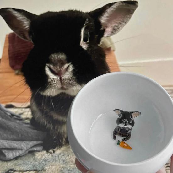 350ml Ceramic Cup with Hidden 3D Animal Handmade Figurine Mug Cartoon Rabbit Dog Cat Coffee Cup Beverage Holder