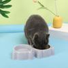 Pet Cat Double Bowl Eco-friendly PP Material Cartoon Cat Face Shape Food Water Feeding Bowl Non-slip Puppy Cat Feeder Supplies