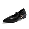 Fashion 2025 Solid Color Classic Pointy Low-cut Shoes Women's Spring Autumn Plus Size Fashion Retro Shallow-mouthed Mary Jane High Heels