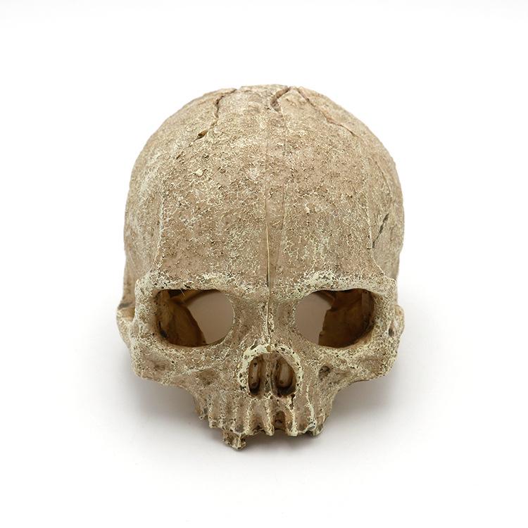 Beliebtes Totenkopf-Serien-Terrarium-Ornament für Schlangen und Eidechsen - Aquarium-Landschaft & Haustier-Versteck
