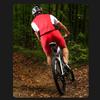 Bicycle Rear Light USB Charging High Visibility Multifunction Flashing With Brake Sensor Tail Light MTB Road Bike Lamps
