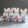Cute Cute Star Dailu Pendant Plush Toy Doll Rabbit Bag Hanging Decoration Keychain Doll Doll