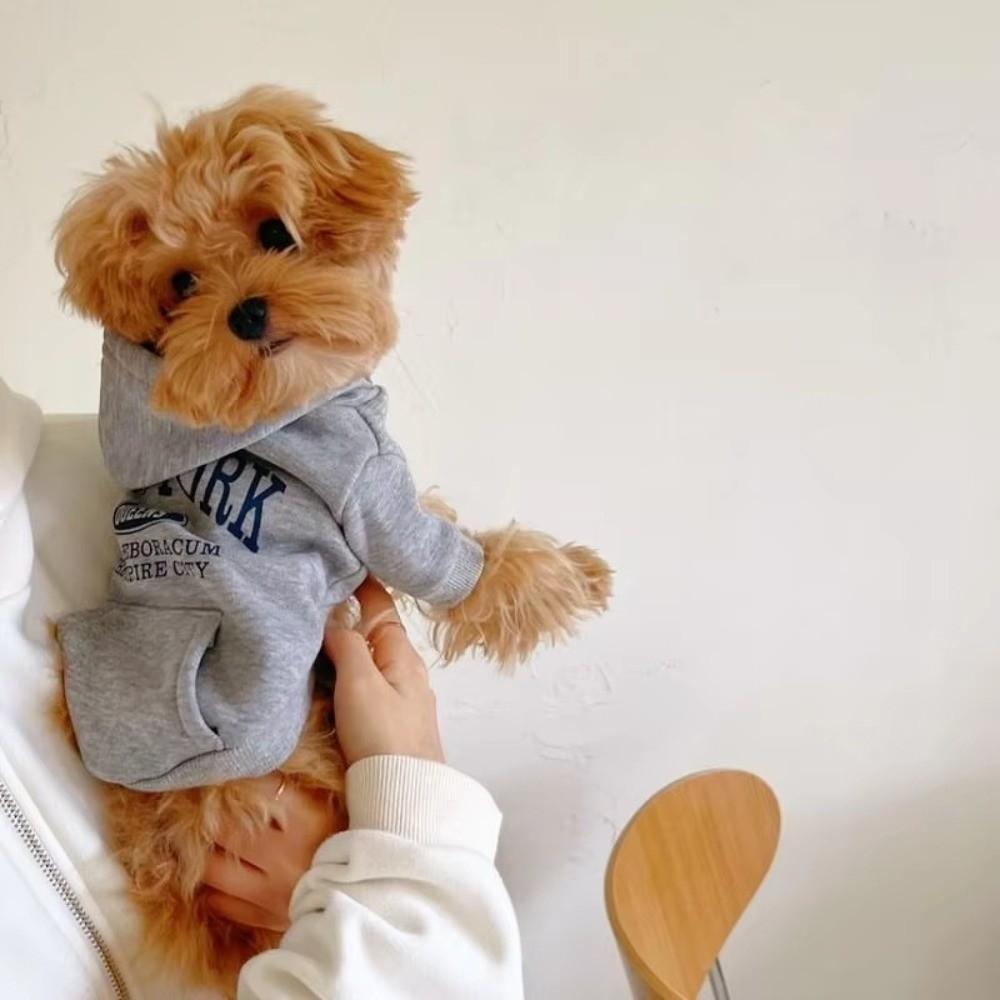 Comfortable Pet Clothes Pullover Design Puppy Costume New Dog Apparel Outdoor