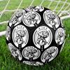 AFC Ajax Indoor Soccer Ball Colorful All Ages Machine Stitched PVC Competition Ready Durable High-Bounce