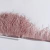 Ostrich Feather Trim 8-10cm 10-15cm 10Meters Fringe White for Clothes Ribbon Skirt Plumas Plume Decoration Wedding Party