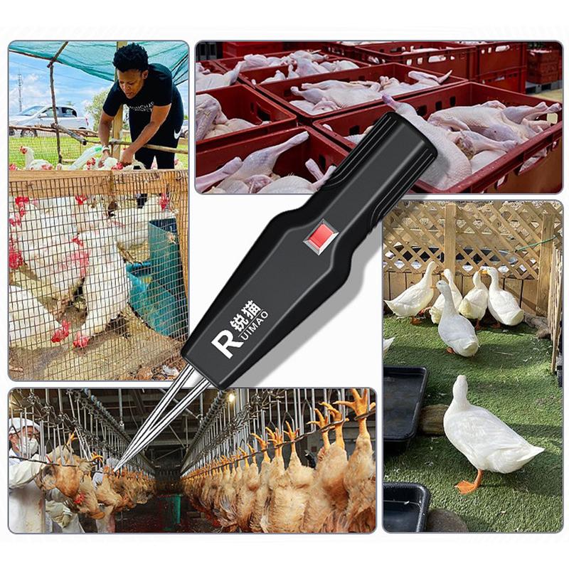 Elektrischer Geflügelrupfer Ergonomisches Design Küchenhelfer Handgehaltene Hühnerrupfmaschine Zum Rupfen von Hühnern Vogel Pute Gans