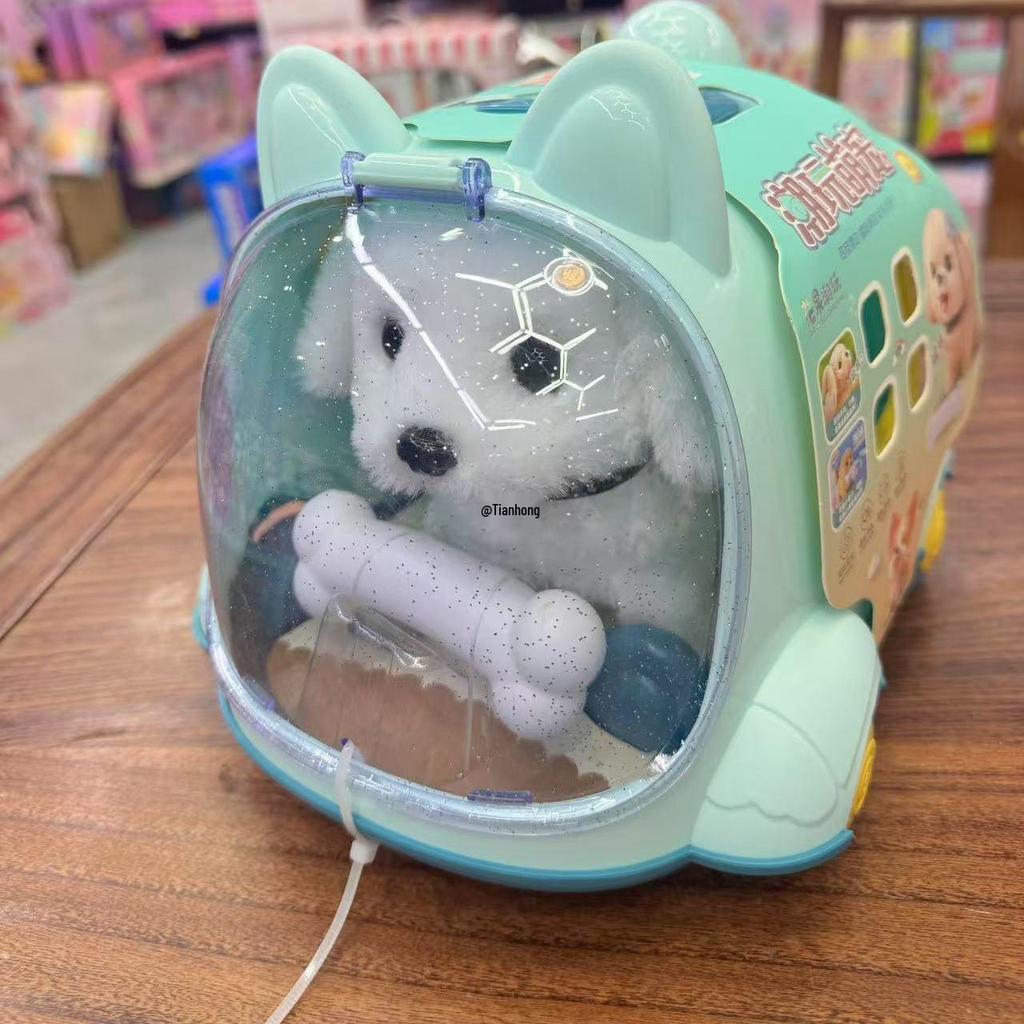 Electric Plush Bunny, Puppy, Kitten Pet Toy: Walking, Talking Cage House for Kids