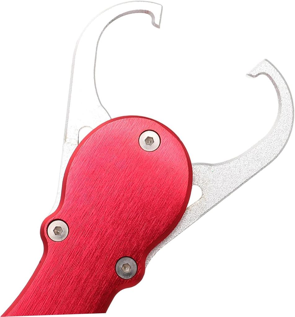 Fish Fish Fish Grabber with Weighing Horizontal Lightweight Fish Stainless Convenient Fish Grip, Catcher, Function, 360-Degree Rotation, Gripper,