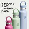 Hydro Flask Standard Mouth 24oz 709ml Tonal White Insulated Stainless Steel Water Bottle