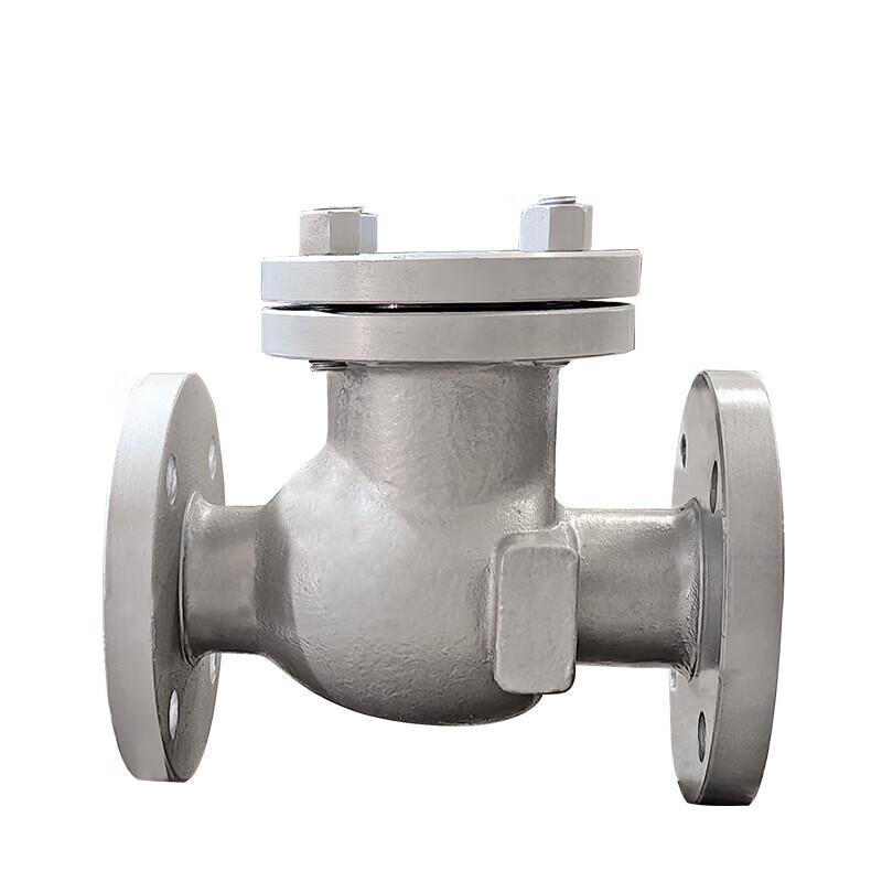 Dual-Purpose Flanged Swing Check Valve