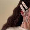 Elegant Tassels Hair Clip For Women Girls Versatile Alloy Long Tassels Hair Accessories  Simple Broken Hair Clip Gifts
