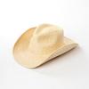 Chapeau de cowboy à feuille de palmier Chapeau de paille de voyage Tressé à la main Grand bord Style décontracté Mode Polyvalent