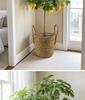 Handcrafted Straw Rope Indoor Plant Basket with Liner