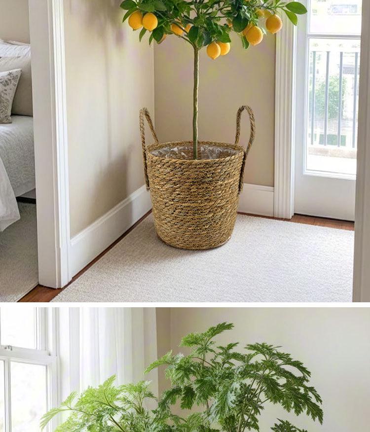Handcrafted Straw Rope Indoor Plant Basket with Liner