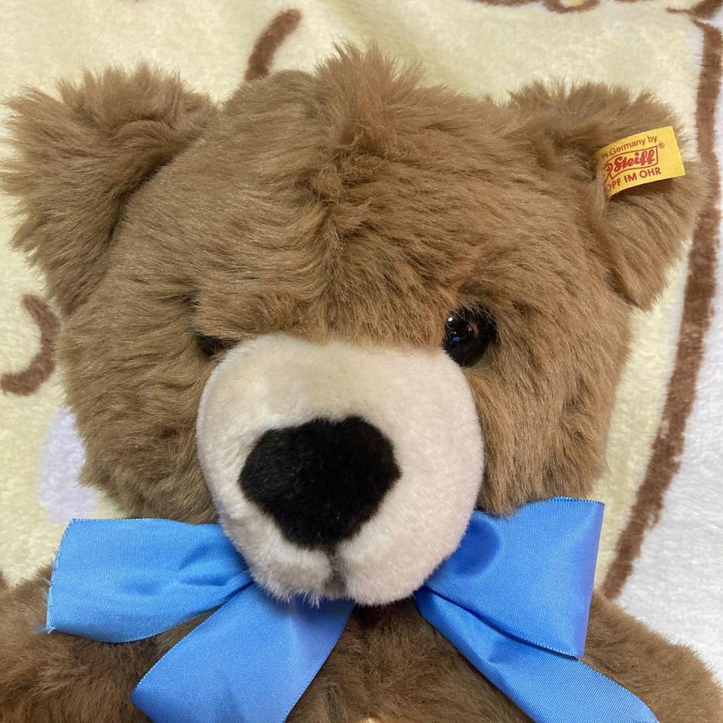 [USED] Steiff Molly 019982 Teddy Bear Plush Toy with Paper Tag, Pre-owned