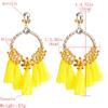 Women's Earring Exaggerated Flowers with Diamonds Tassel Acrylic Earrings Bohemian Temperament Female Earrings