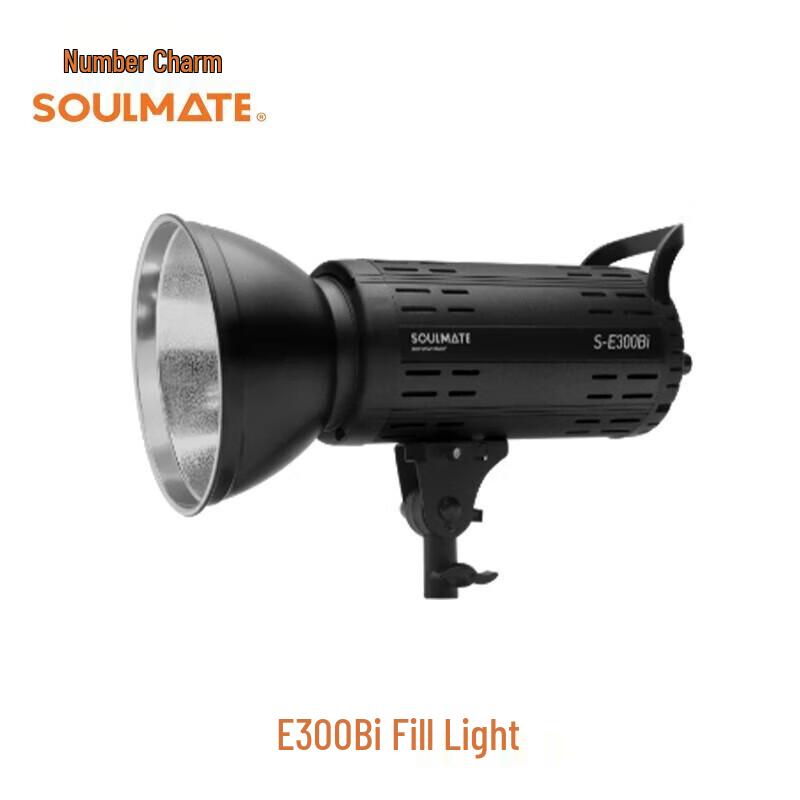 SOULMATE E300BI LED Live Stream Light Kit