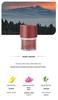Car Interior Tea Scent Solid Perfume Deodorizer Fragrance