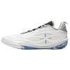 Li Ning Wade Cushioning Abrasion Resistant Low Top Basketball Shoes Men's Blue White ABAV045-14
