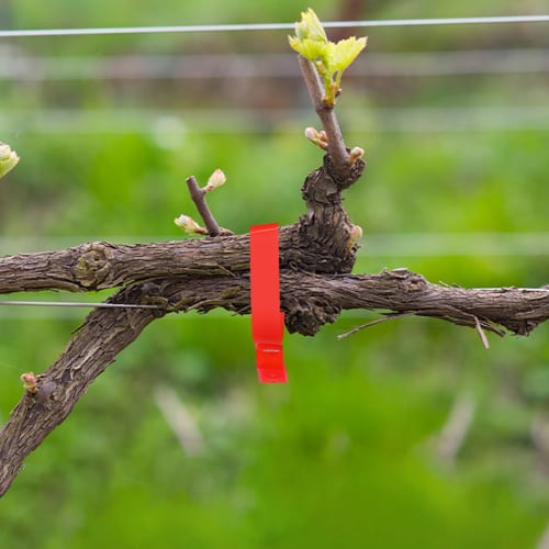 Socpuro [Lightweight Design] Strainer, Prevents Nail Jams, Gardening, One-Handed Strainer, Slim Type, Strainer, Farm, Fruit Tree, Plant Strainer, Stra