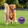 Yousheng 9,8 Zoll Hüteball für Hunde Haustier aufblasbarer Ball Spielzeug Interaktives Spiel Bewegungsball Fördert die körperliche Gesundheit für kleine bis mittelgroße Haustiere