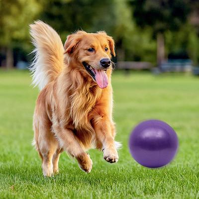 Yousheng 9.8 Inch Herding Ball for Dogs Pet Inflatable Ball Toy Interactive Play Exercise Ball Promotes Physical Health for Small Medium Pets