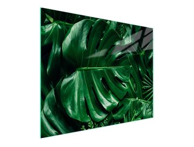 SZKLANA DESKA DO KROJENIA 52x30 MONSTERA
