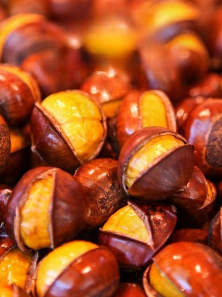 Kegle kastanjeåpnere kastanje gjenstander massivt tre skrelling rå kastanje lotusfrø maskin hjem kryssåpne kastanjeverktøy