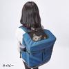 ADD. MATE Liscio CAT Backpack Carry, Gray, for Disaster Preparedness and Travel
