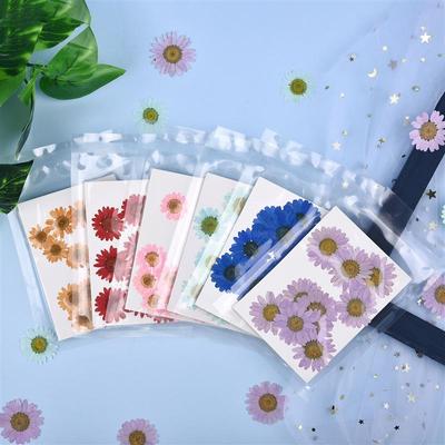 1 Paquet Chrysanthème Fleurs Séchées Plantes Sèches Pour Moules en Résine Garnitures Résine Époxy Artisanat DIY Décoration Nail Art Fleurs Pressées