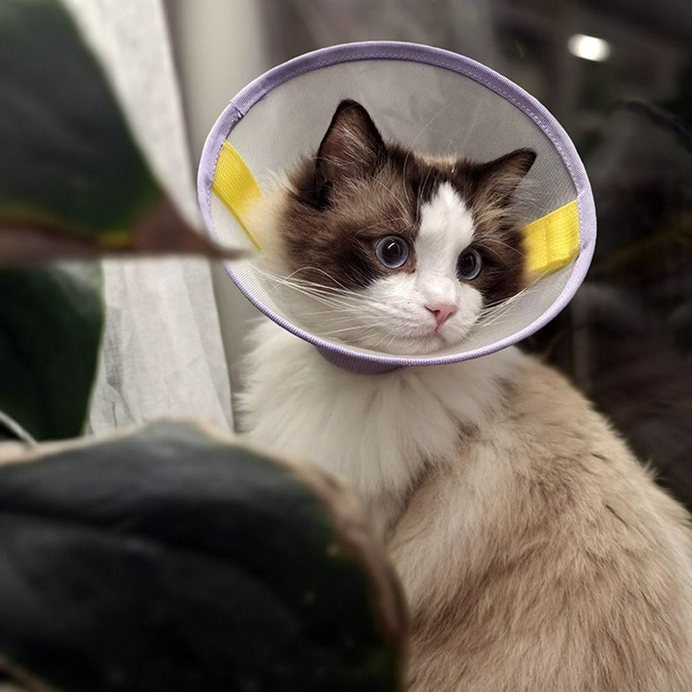 Breathable Pet Neck Cone Soft Cat Neck Protective Circle Dog Protective Head Cover Recovery