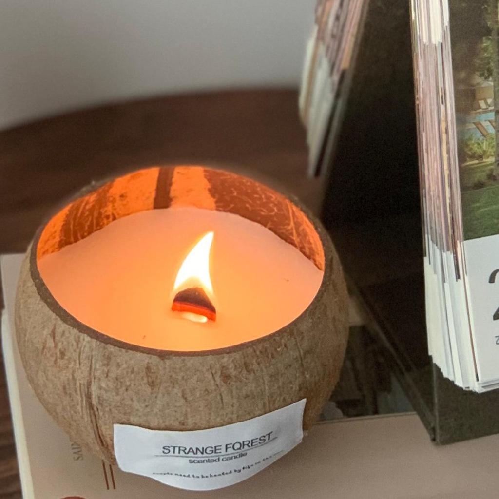 Coconut Shell Scented Candle: Home Decor & Gift