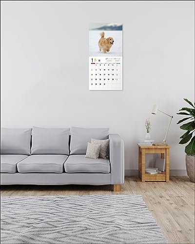 2024 Calendar Golden Retriever (Seibundo Shinkosha Calendar)