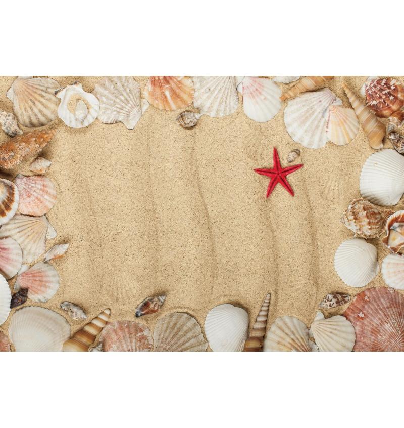 Decorazione Sfondo Spiaggia Tropicale Conchiglia Stella Marina Vacanza Estiva Per Festa in Piscina Sfondi Per Fotografie